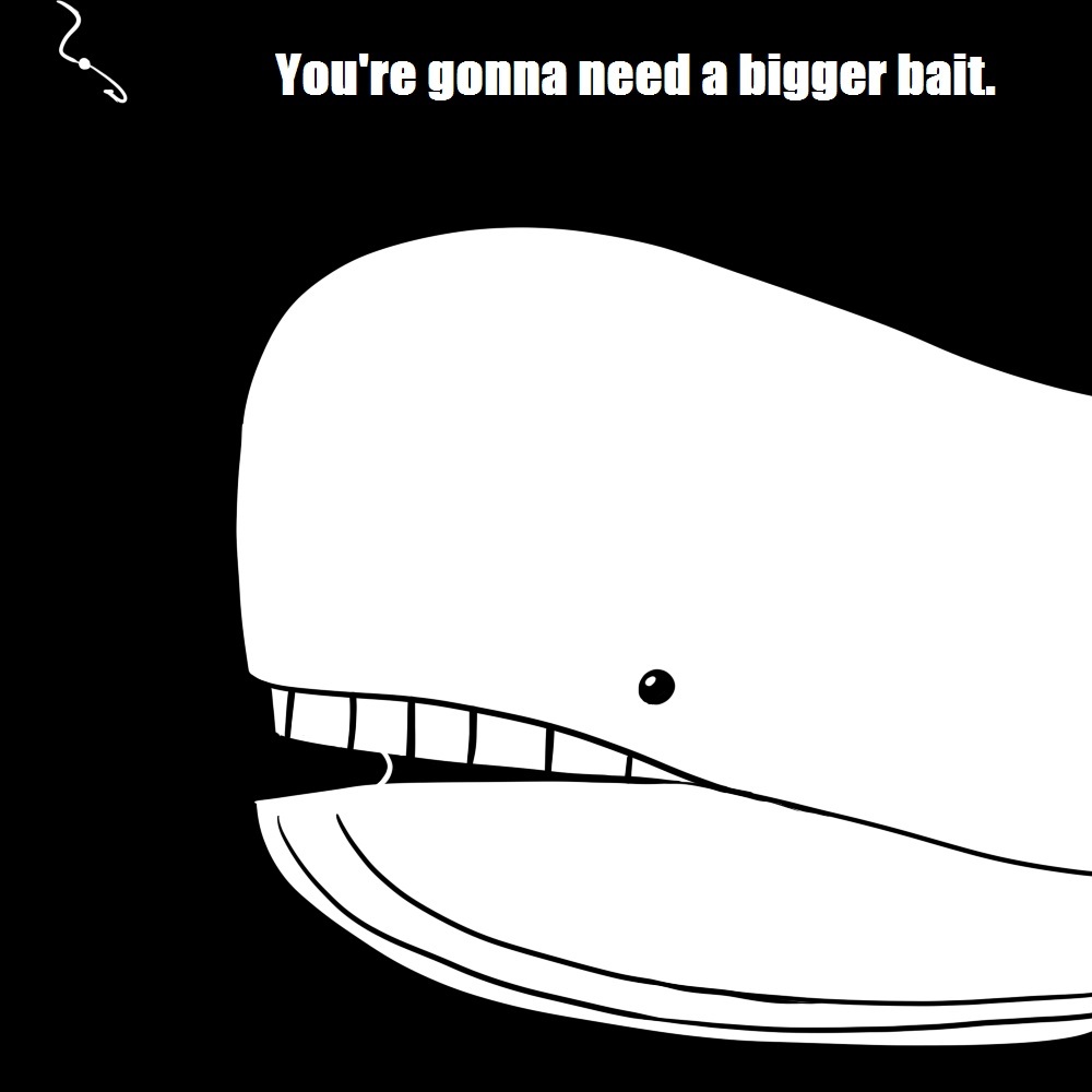 bait.jpg