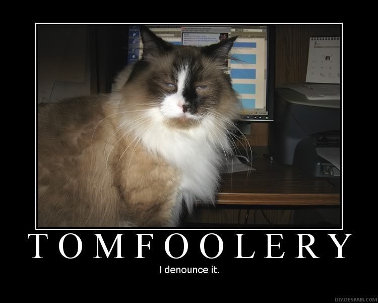 Pin On Tomfoolery