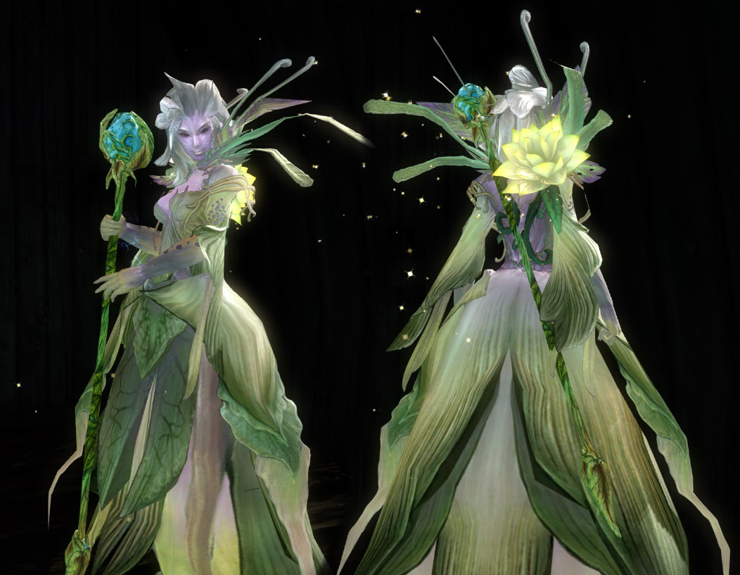 GW2 Sylvari - Bing images